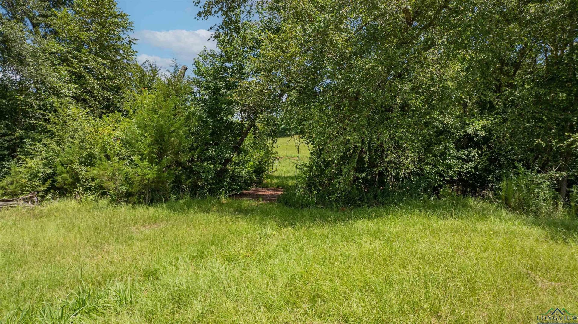 18 acres in Upshur County - photo 6