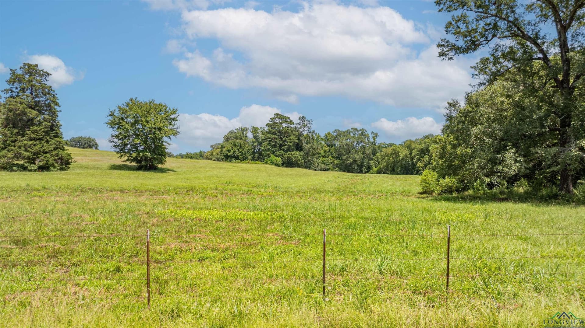 18 acres in Upshur County - photo 4
