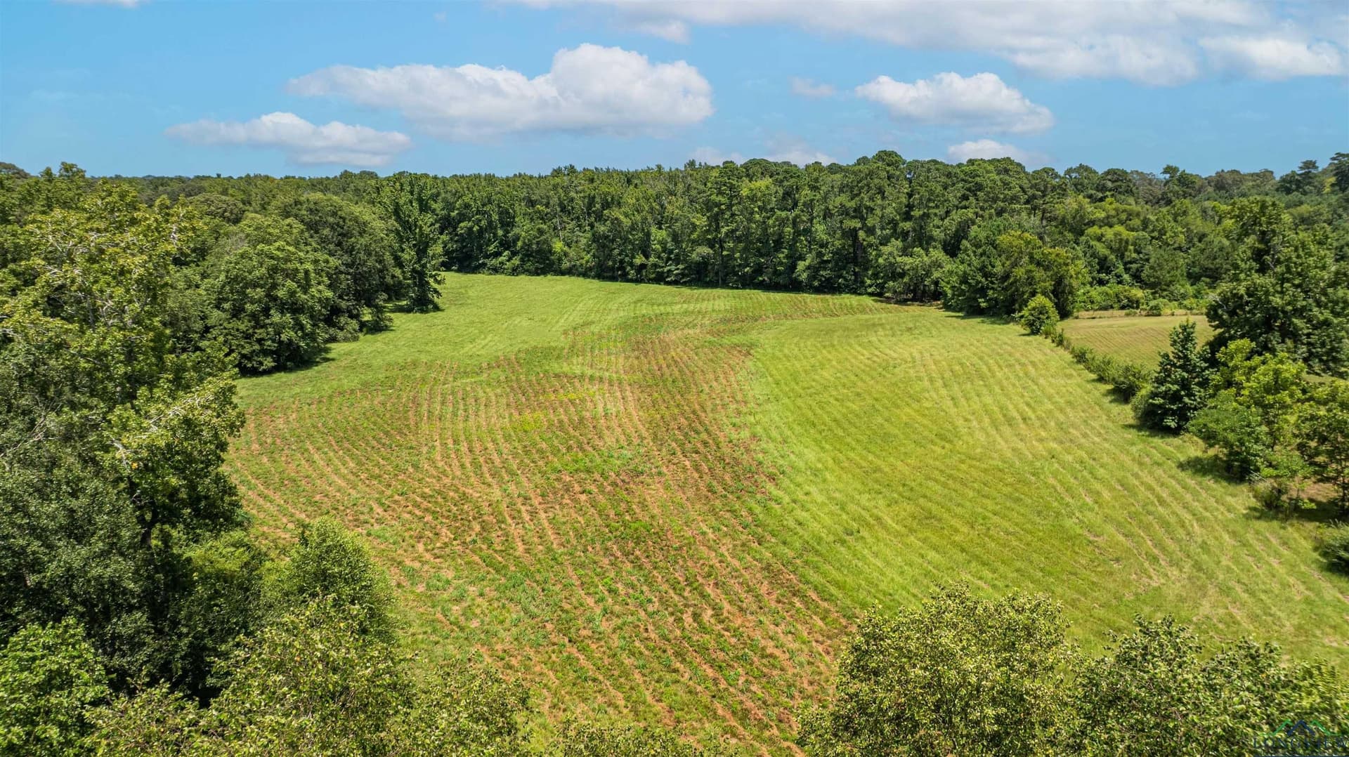 18 acres in Upshur County - photo 8