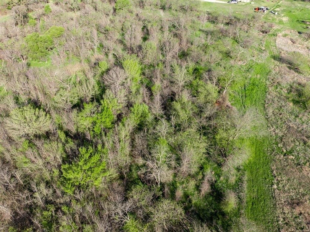 11.98 acres in Hill County - photo 33