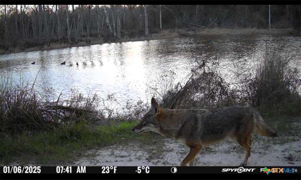 86.18 acres in Limestone County - photo 24