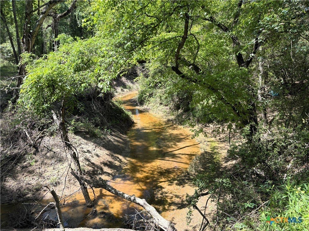 86.18 acres in Limestone County - photo 28