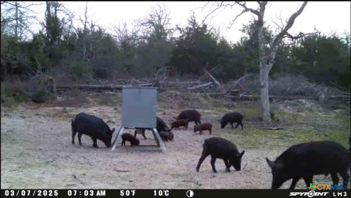 86.18 acres in Limestone County - photo 23