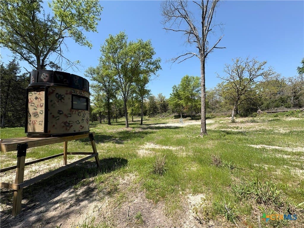 86.18 acres in Limestone County - photo 33
