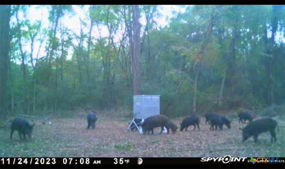 86.18 acres in Limestone County - photo 22