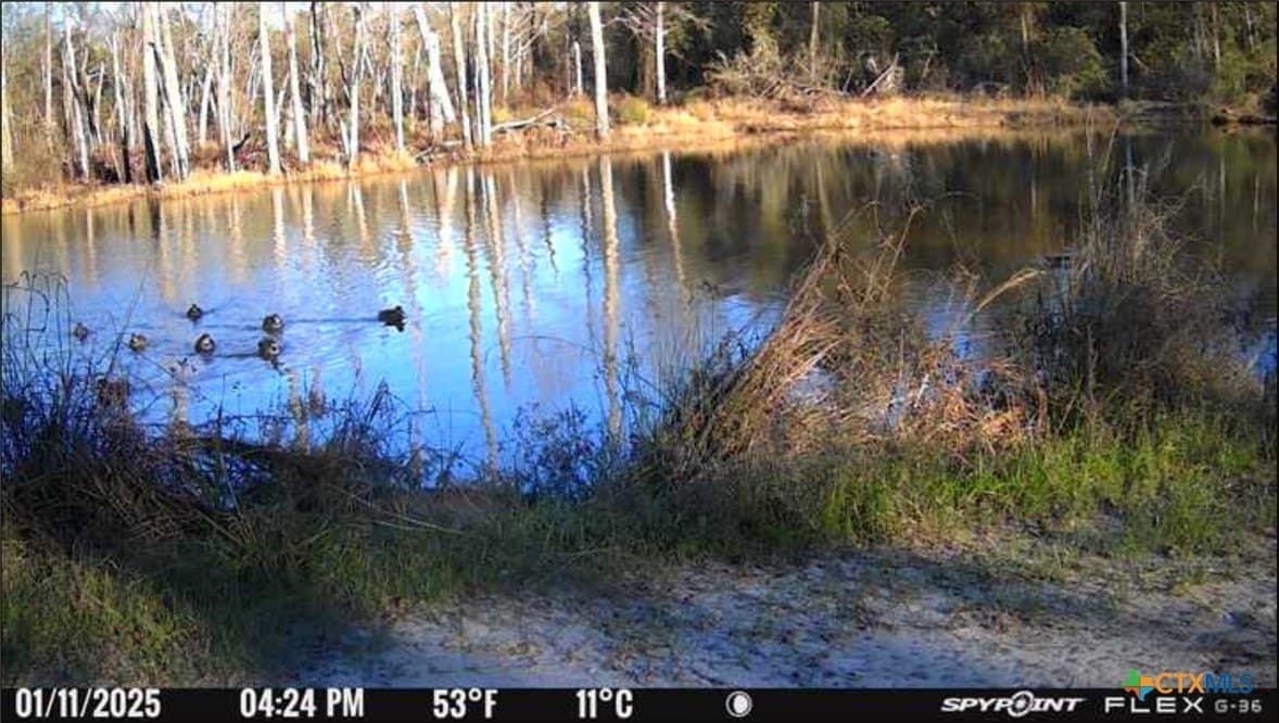 86.18 acres in Limestone County - photo 26