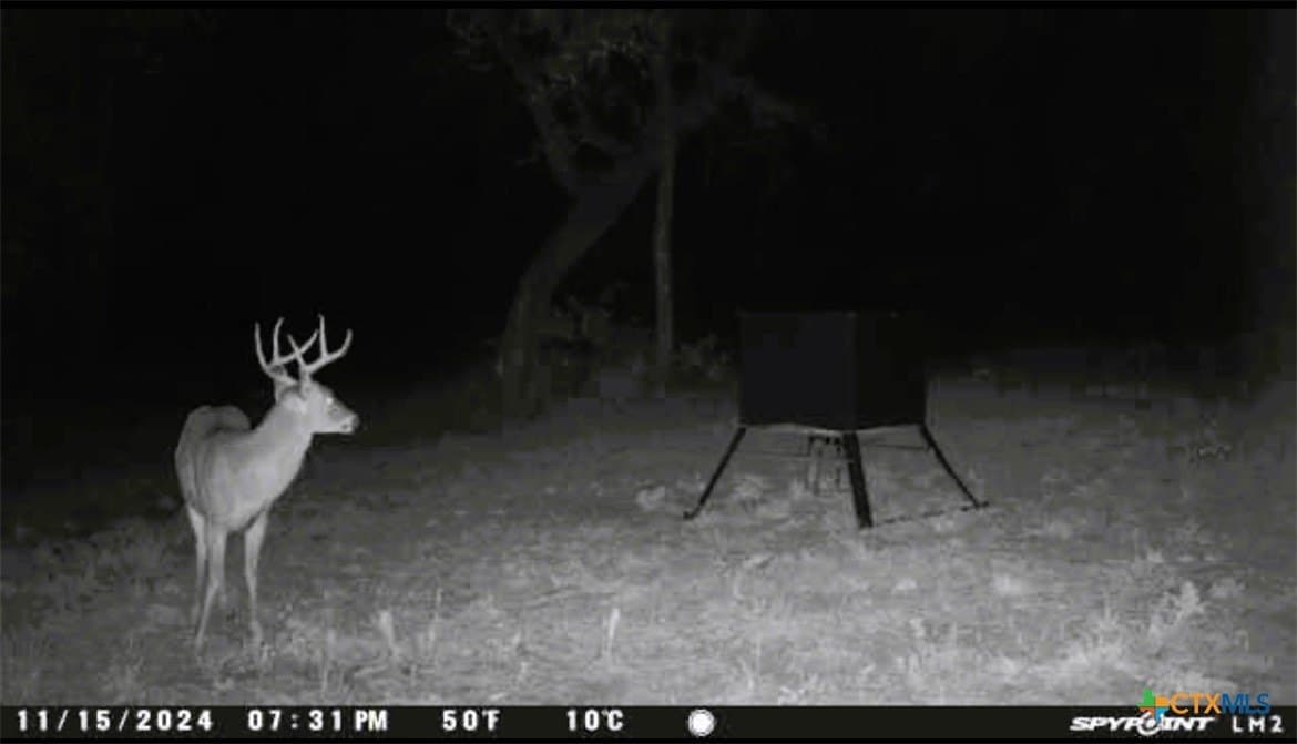 86.18 acres in Limestone County - photo 20