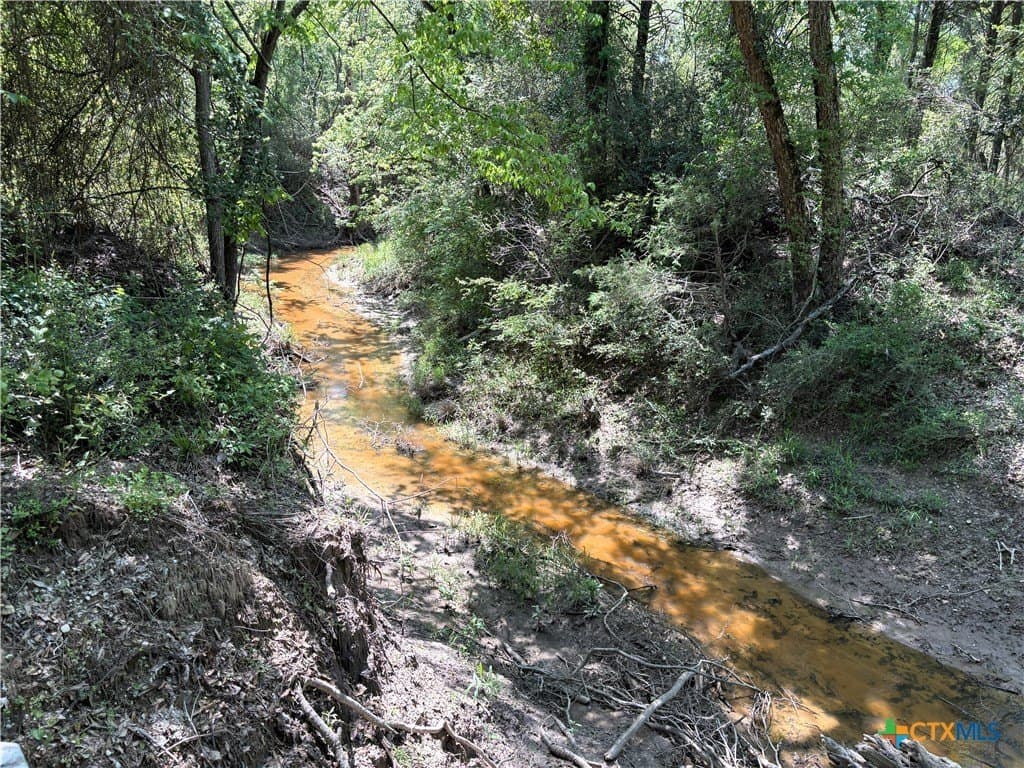 86.18 acres in Limestone County - photo 29