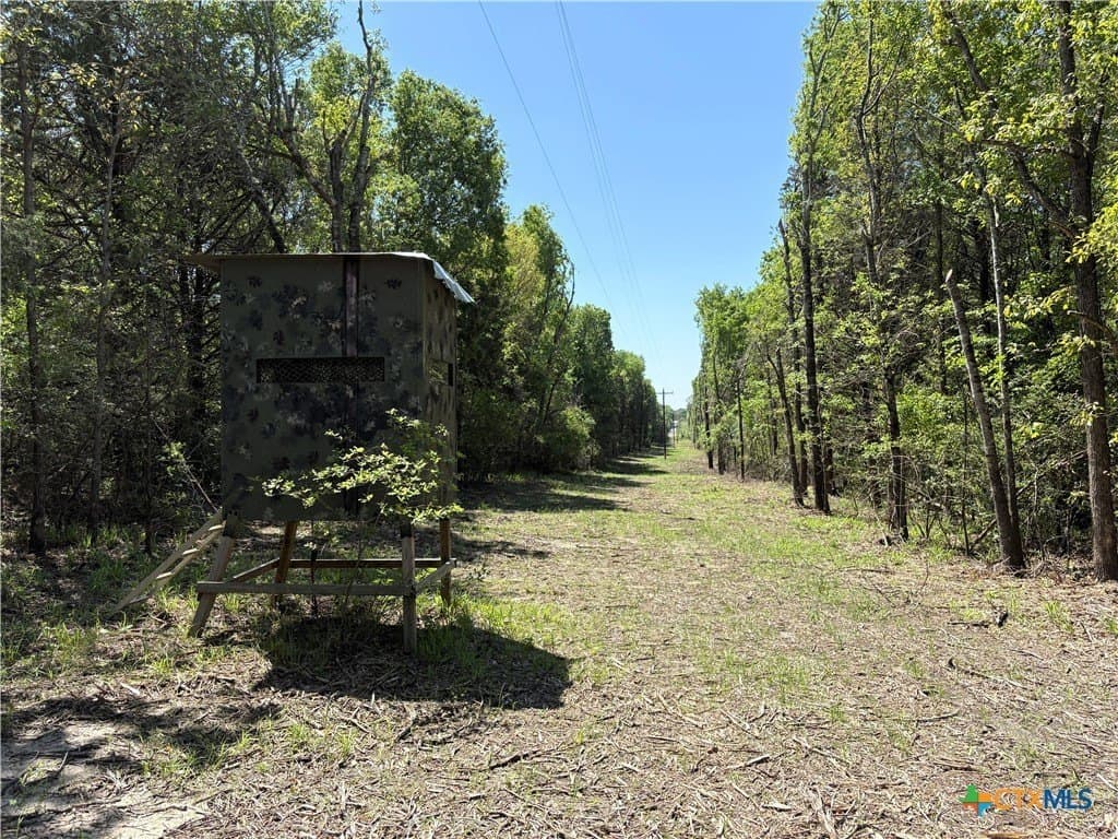 86.18 acres in Limestone County - photo 34