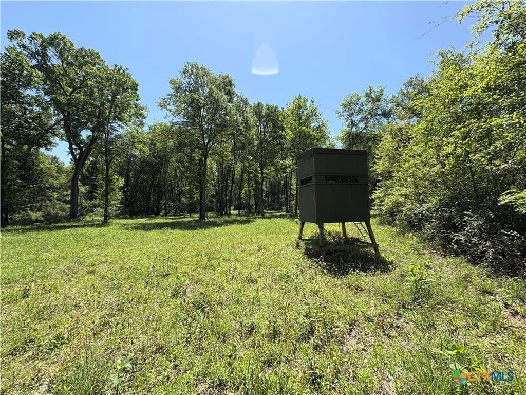 86.18 acres in Limestone County - photo 35