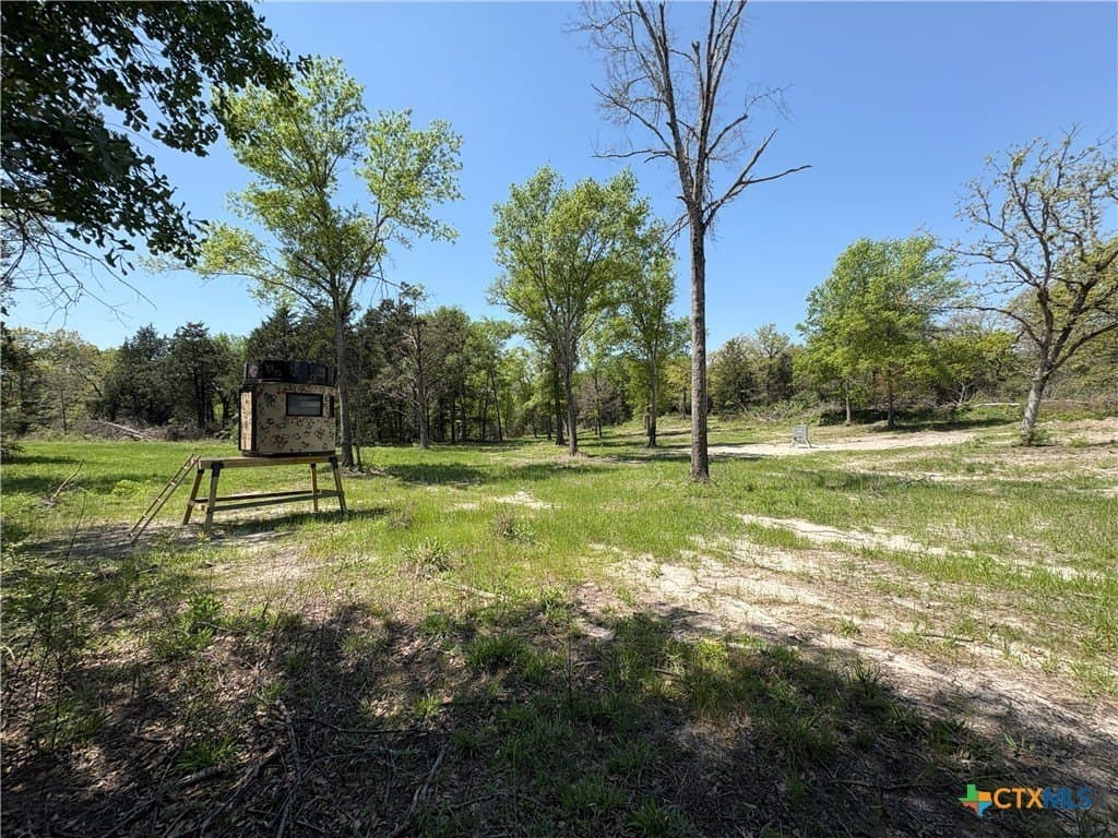 86.18 acres in Limestone County - photo 32