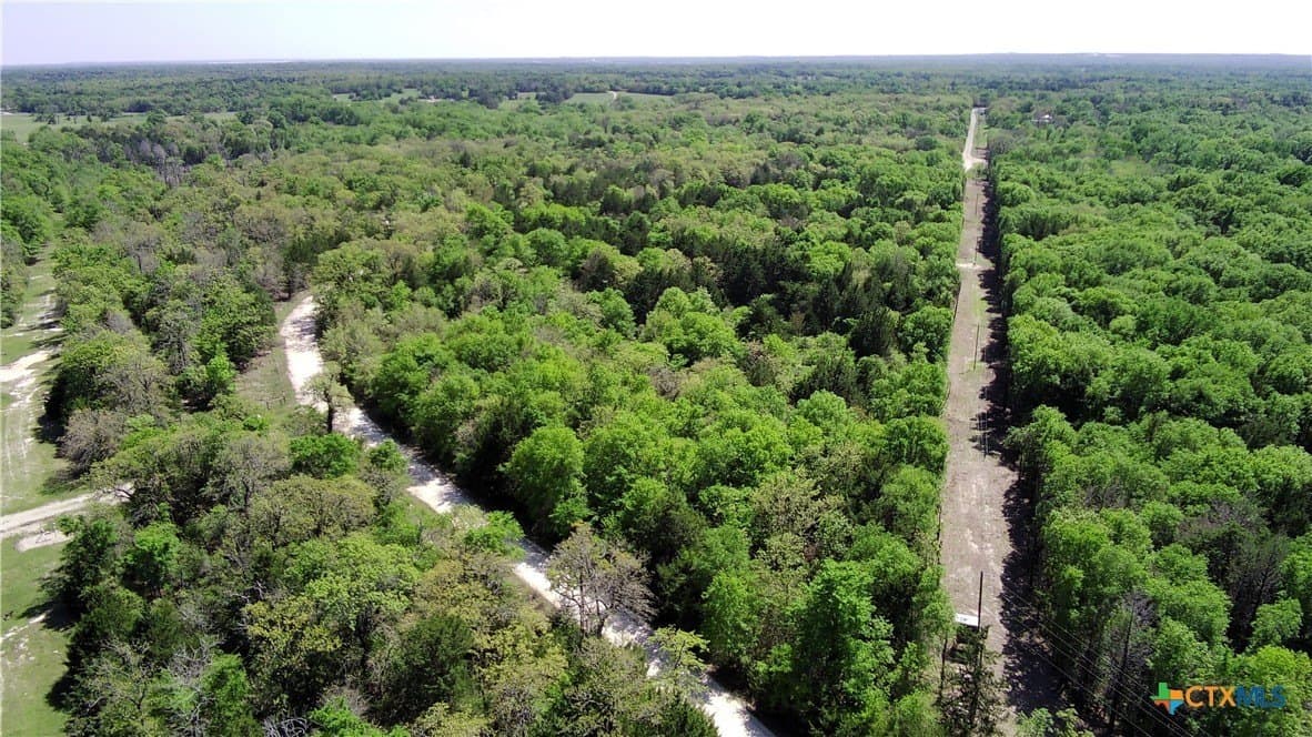 86.18 acres in Limestone County - photo 5