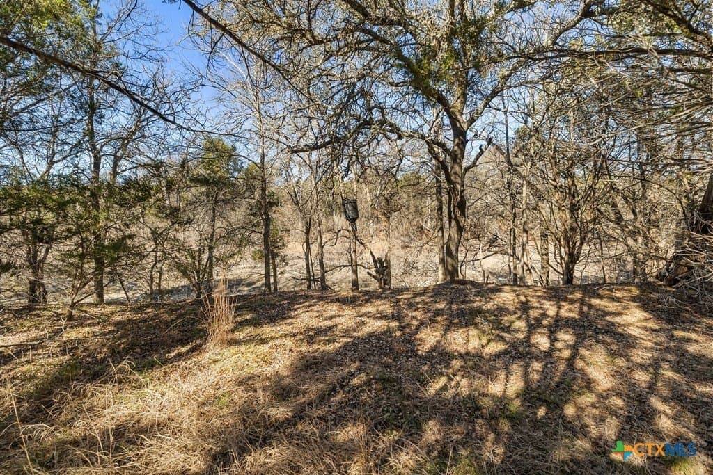 13.33 acres in Travis County - photo 26