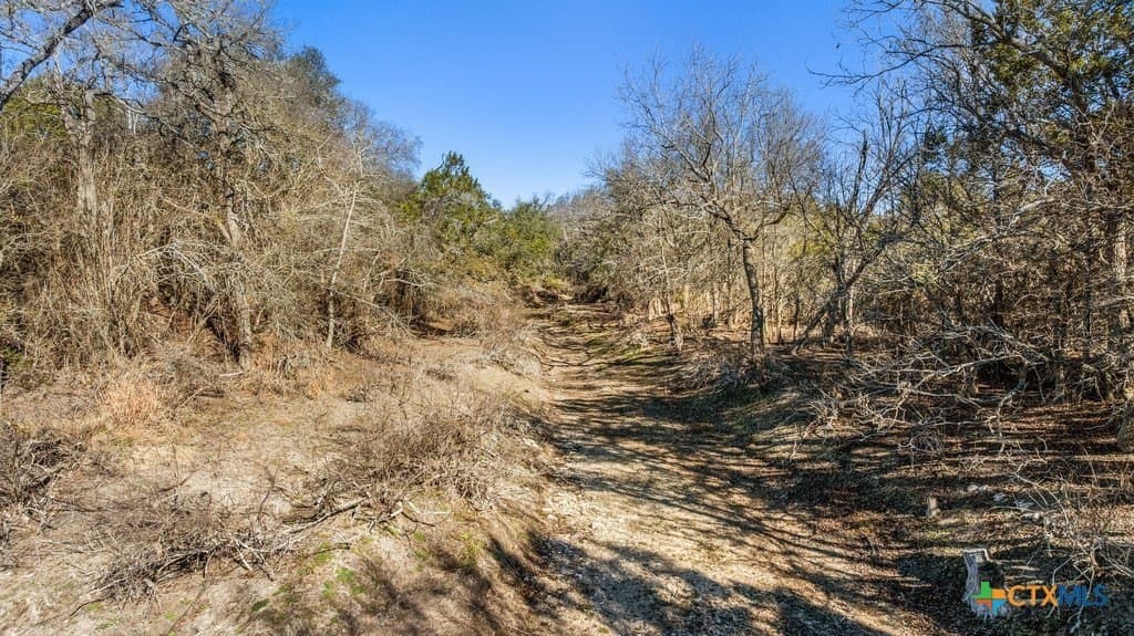 13.33 acres in Travis County - photo 19