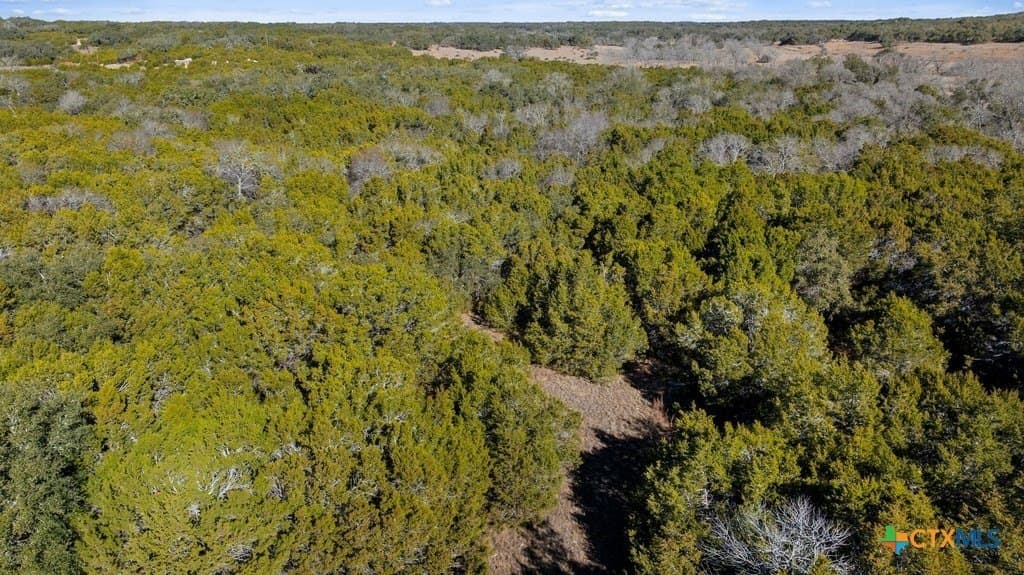 13.33 acres in Travis County - photo 15