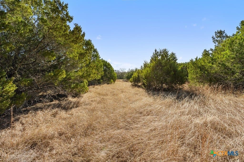 13.33 acres in Travis County - photo 27