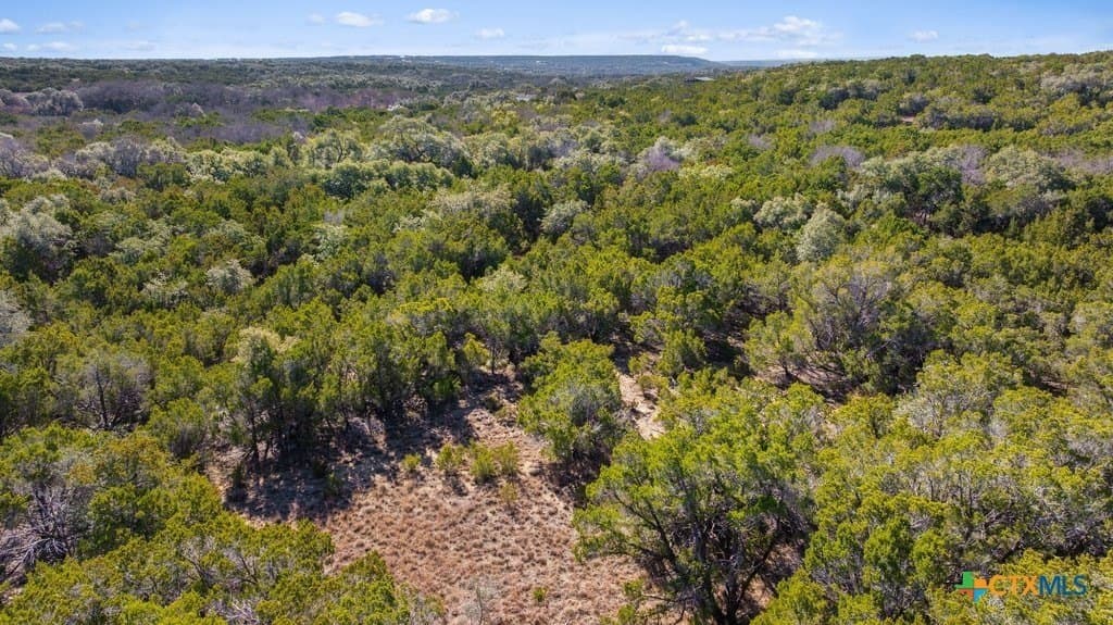 13.33 acres in Travis County - photo 13