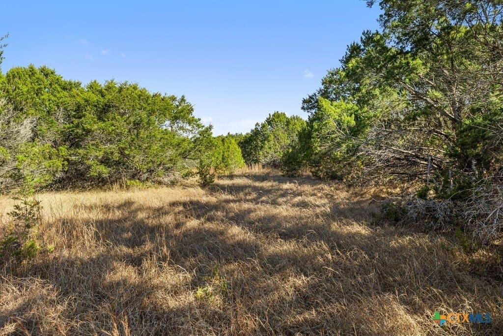 13.33 acres in Travis County - photo 25