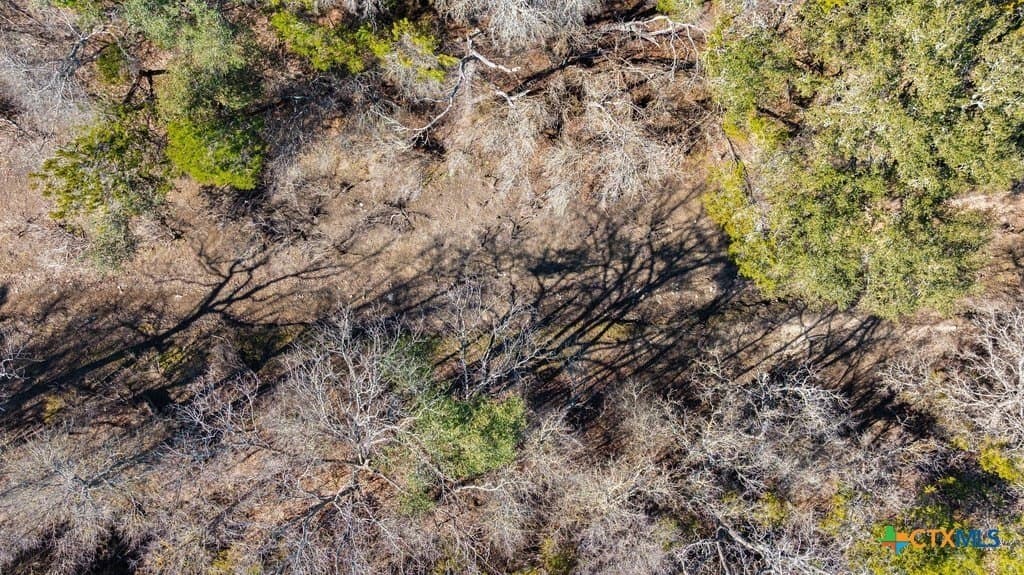 13.33 acres in Travis County - photo 18