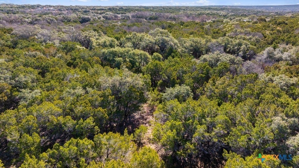 13.33 acres in Travis County - photo 14