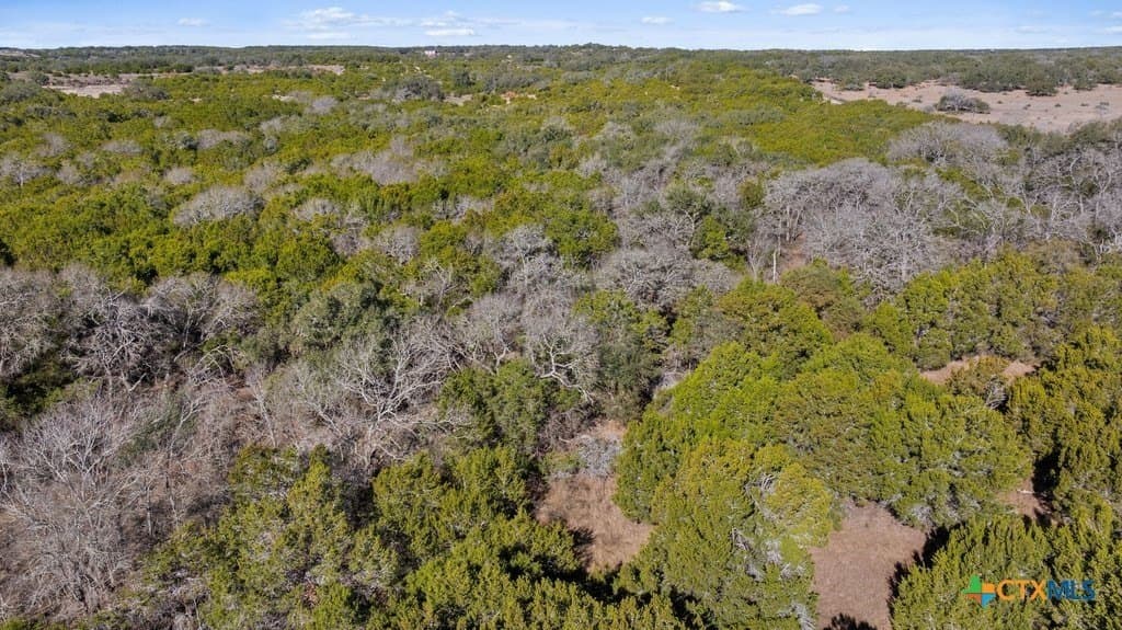 13.33 acres in Travis County - photo 16