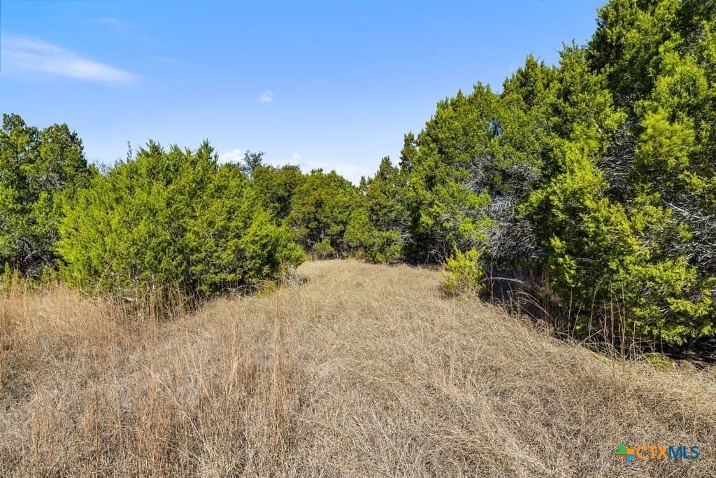 13.33 acres in Travis County - photo 24