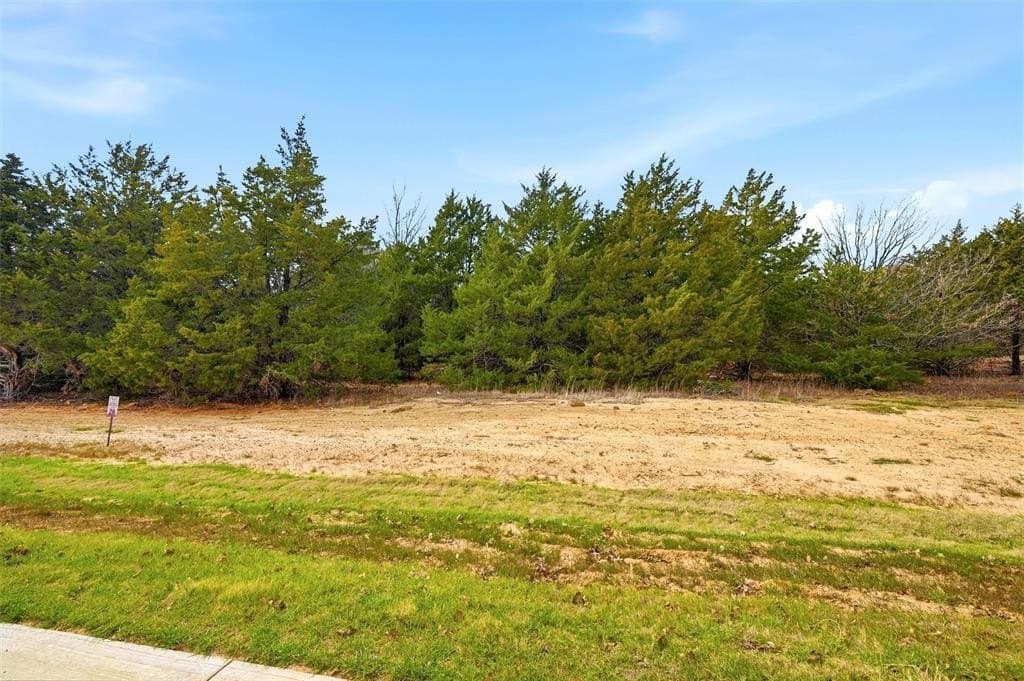 1.1 acres in Grayson County - photo 3