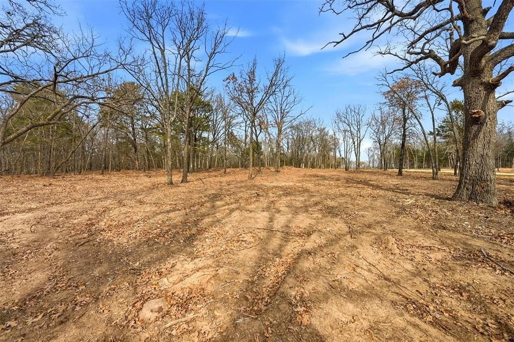 1.1 acres in Grayson County - photo 8
