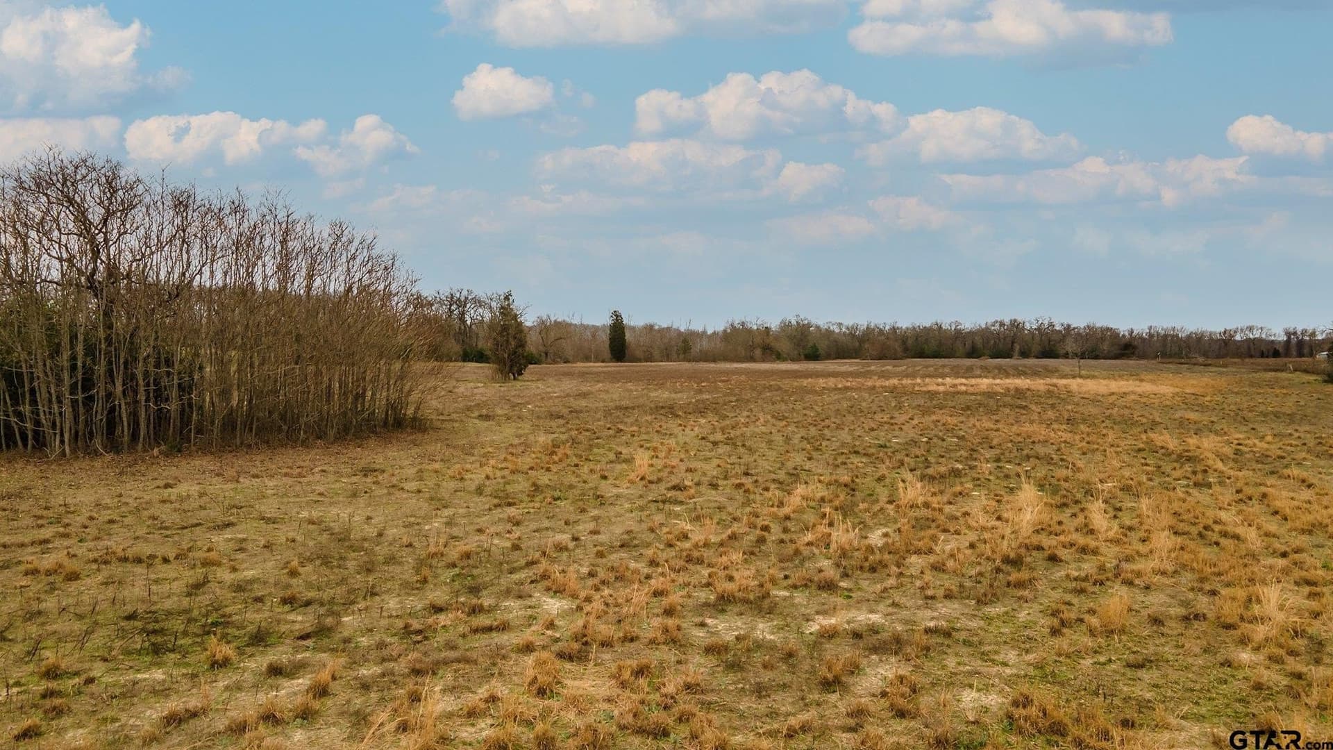 23.8 acres in Henderson County - photo 12