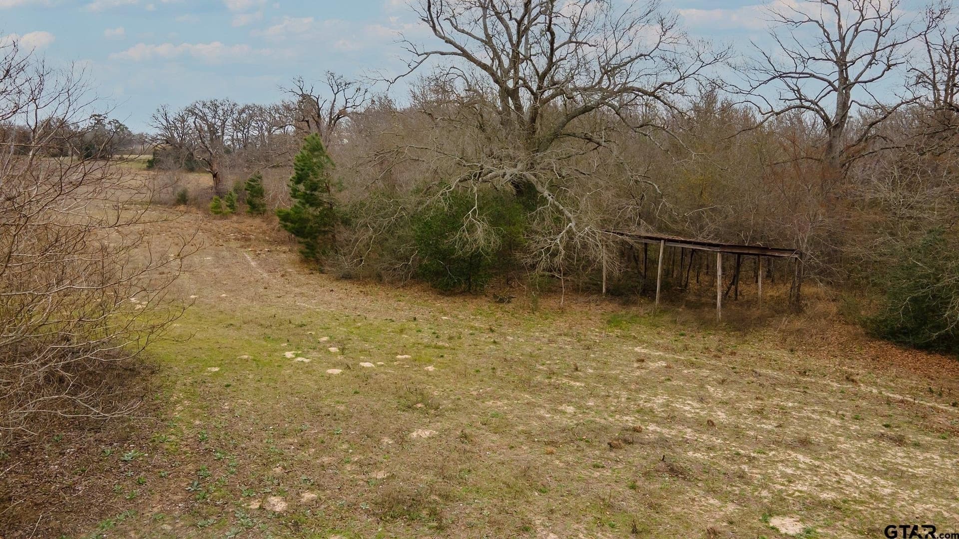 23.8 acres in Henderson County - photo 10