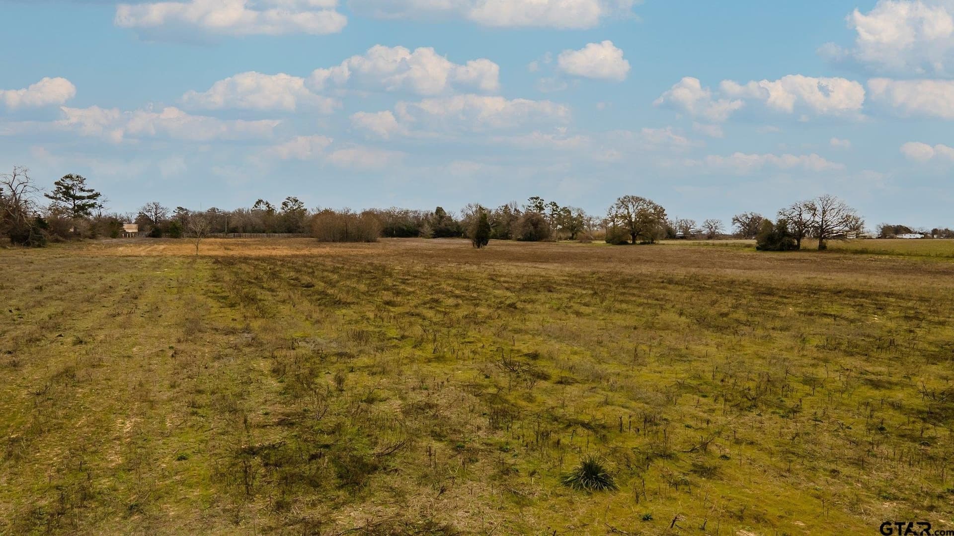 23.8 acres in Henderson County - photo 11
