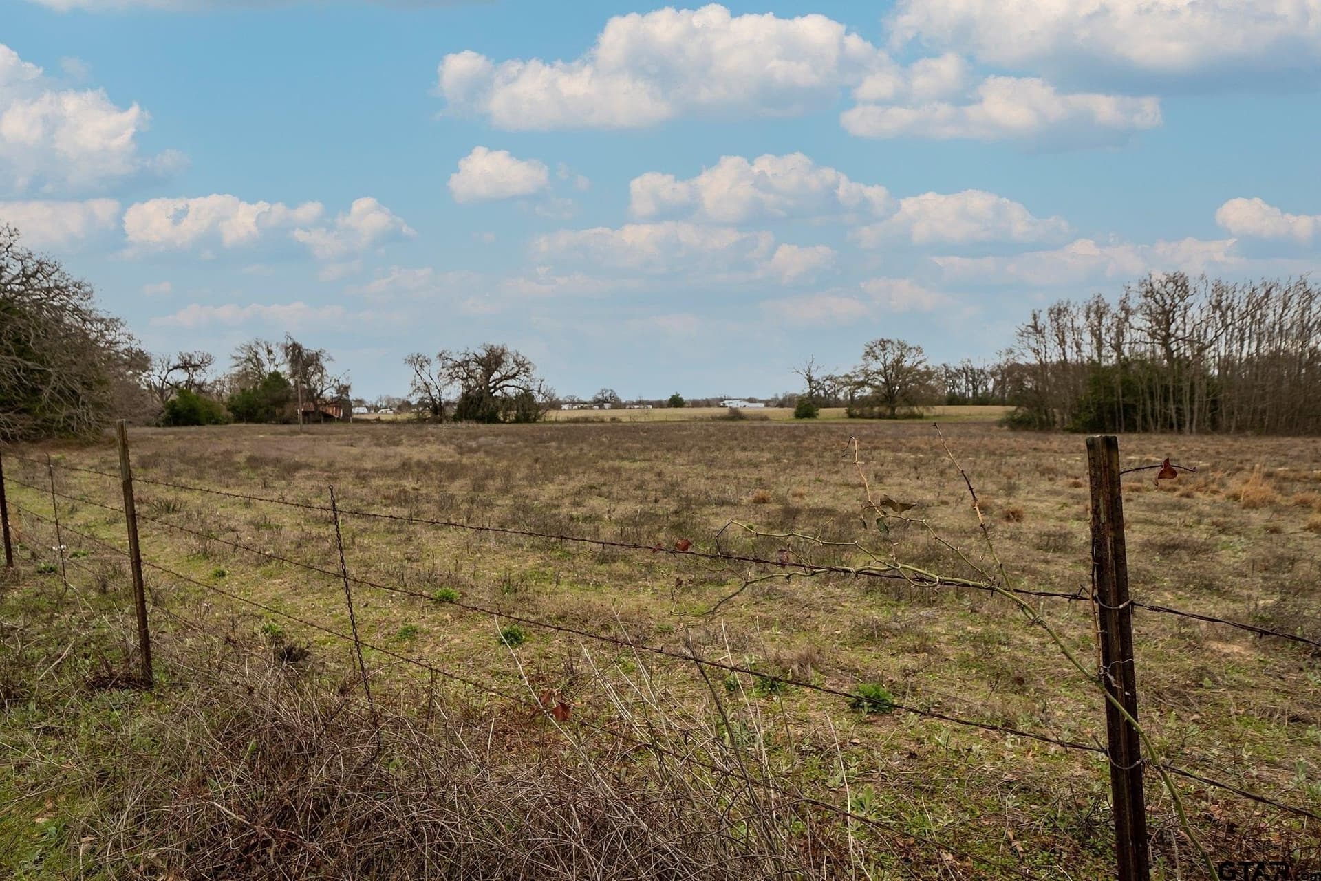 23.8 acres in Henderson County - photo 15