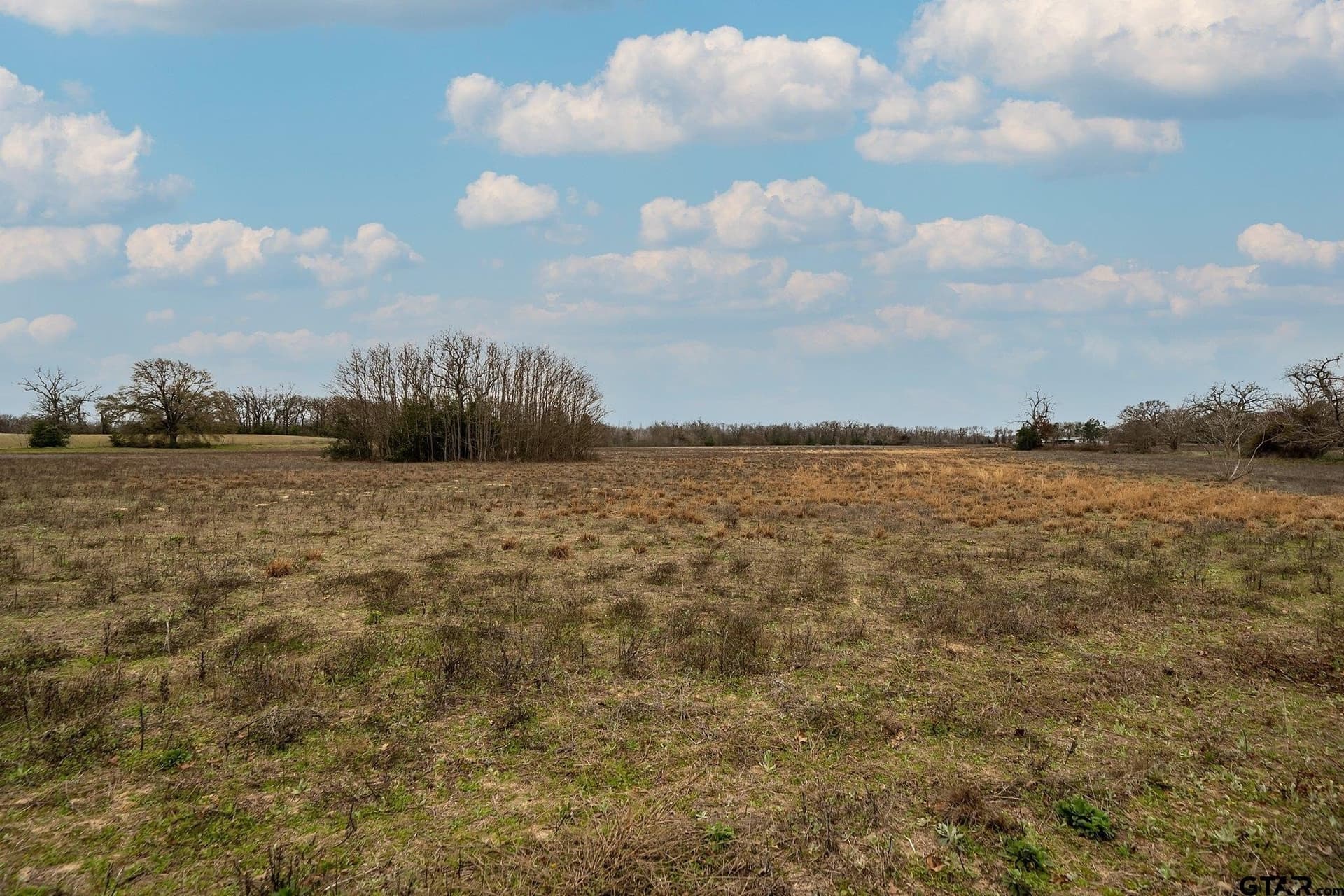 23.8 acres in Henderson County - photo 16