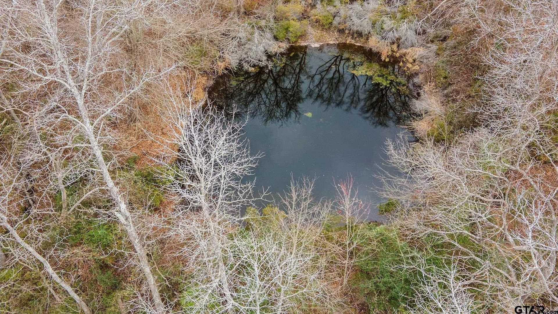 23.8 acres in Henderson County - photo 4