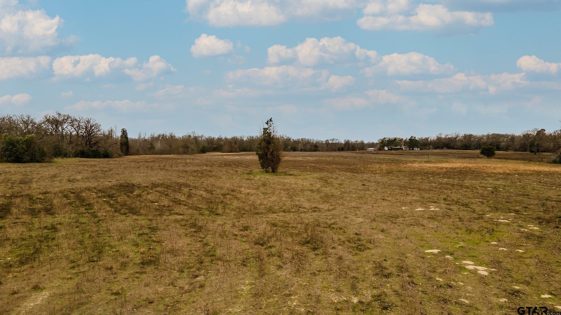 23.8 acres in Henderson County - photo 13