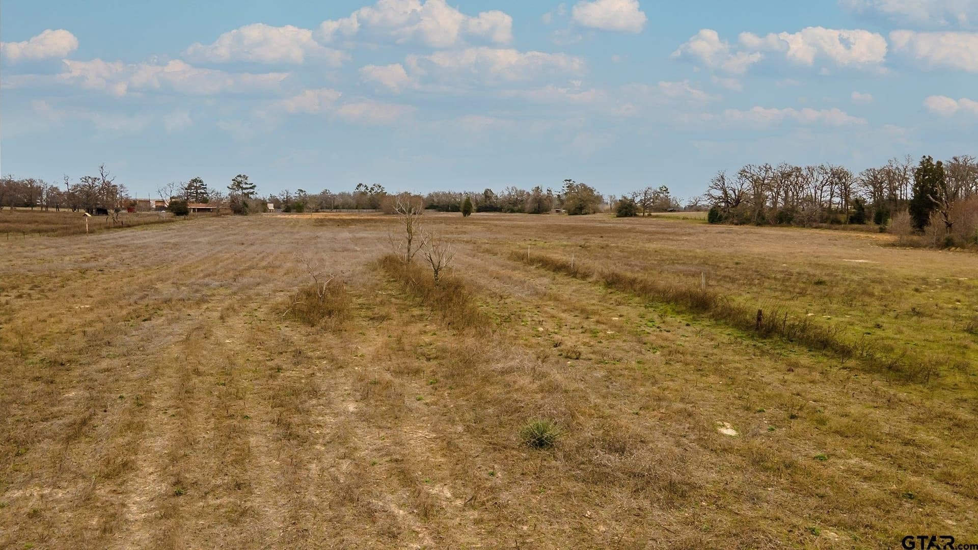 23.8 acres in Henderson County - photo 8