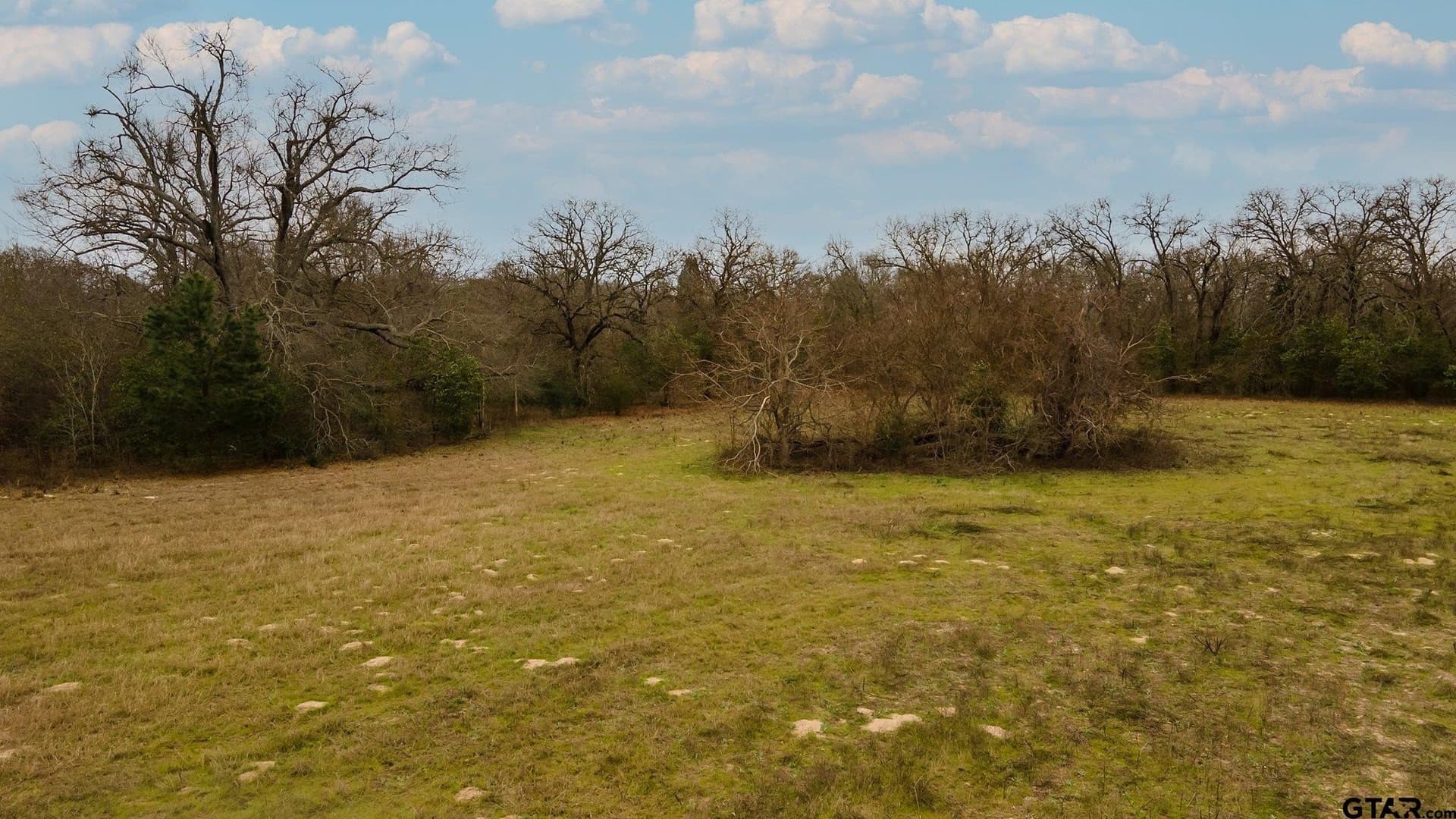 23.8 acres in Henderson County - photo 9