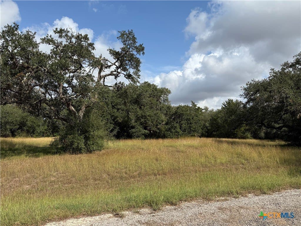 127 Center Tree Drive lot: 28 & 29