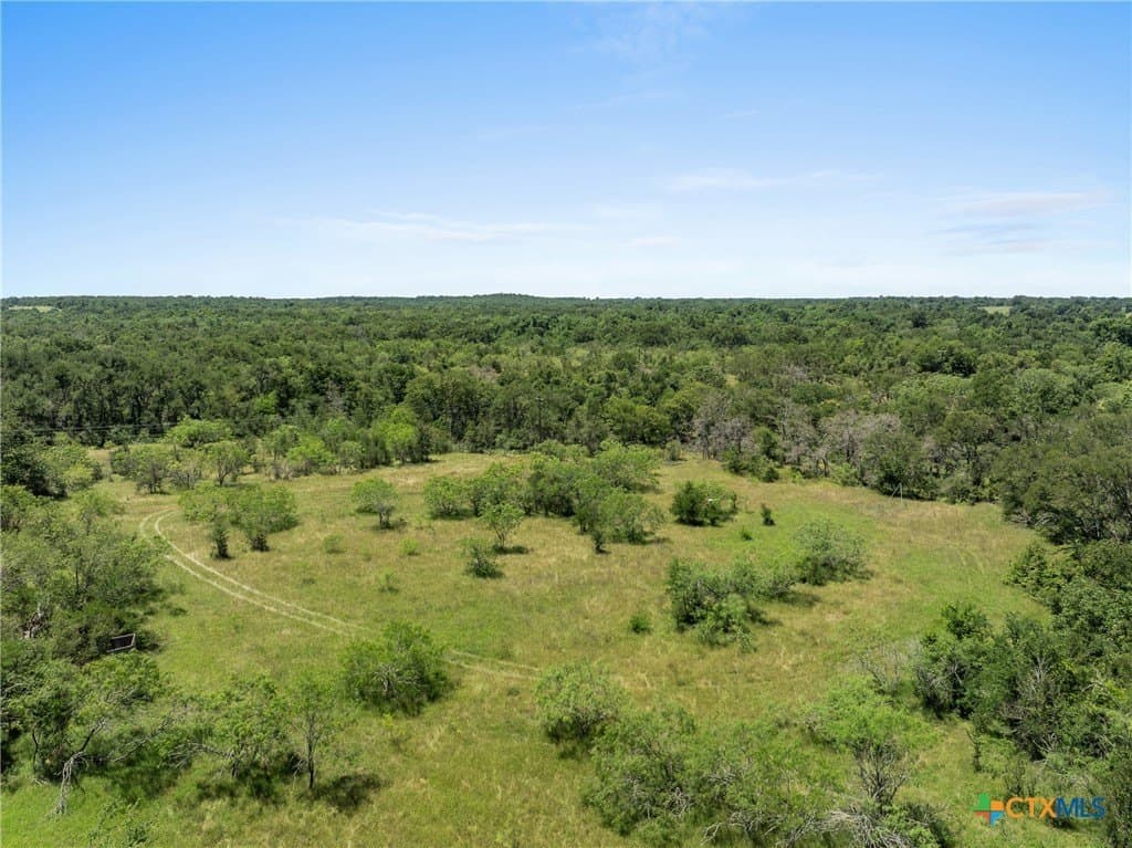 95 acres in Milam County - photo 3