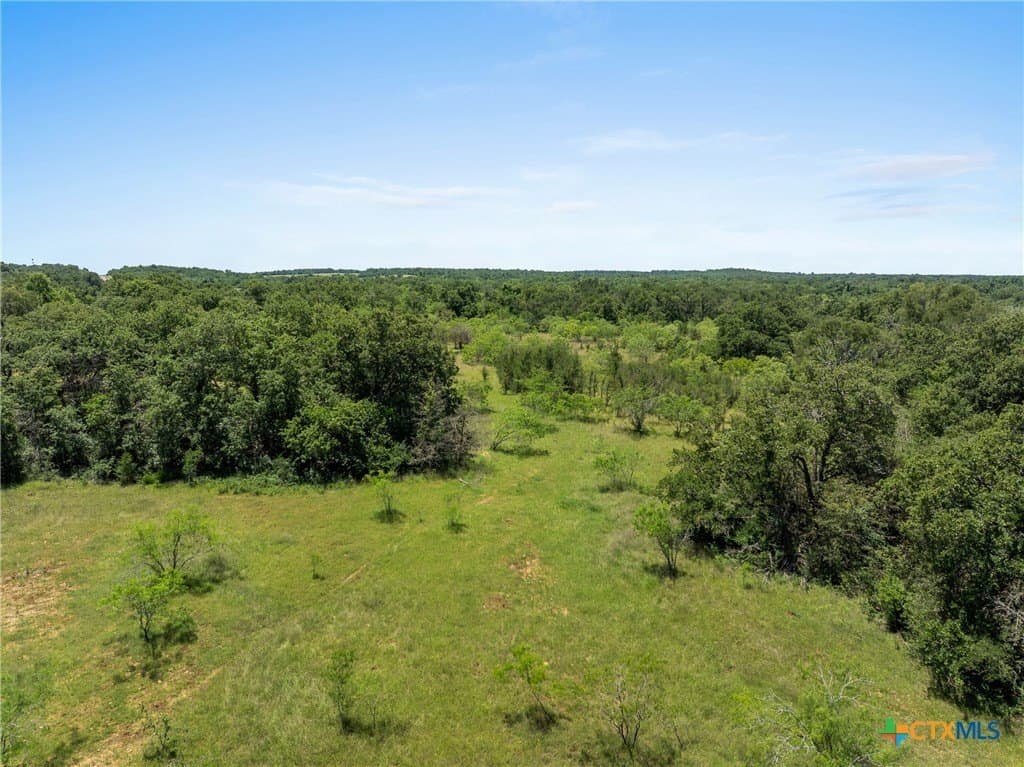 95 acres in Milam County - photo 8