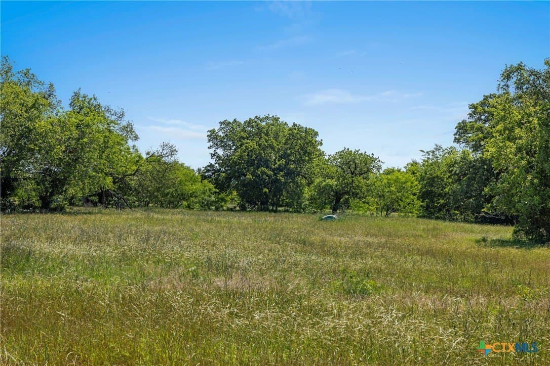 95 acres in Milam County - photo 15
