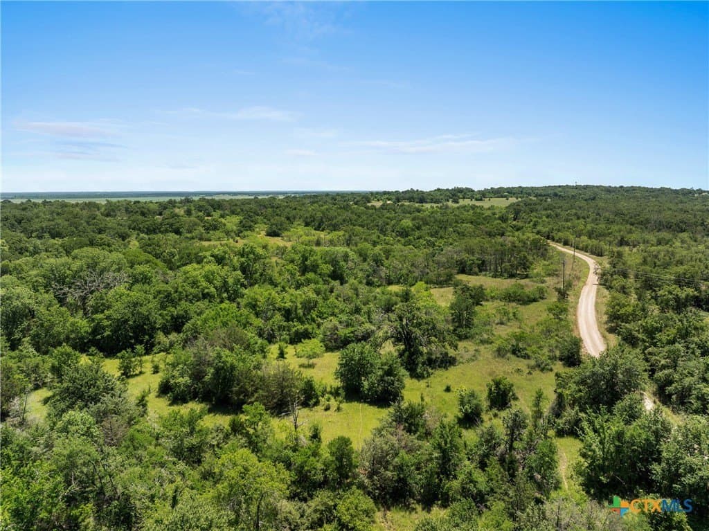95 acres in Milam County - photo 2