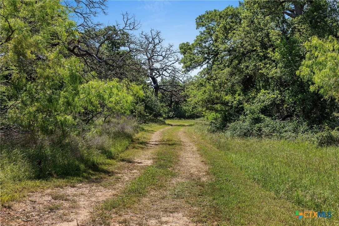95 acres in Milam County - photo 19