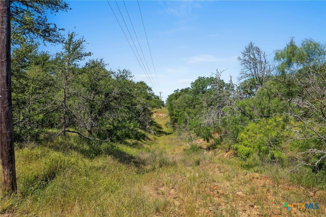 95 acres in Milam County - photo 18
