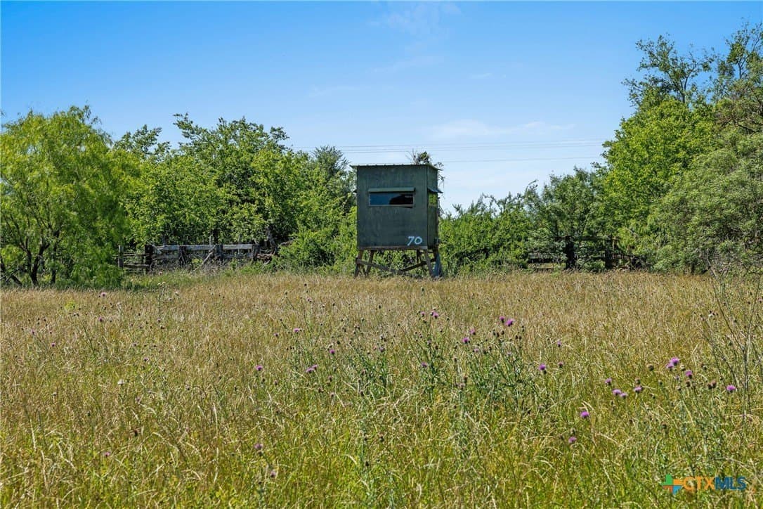 95 acres in Milam County - photo 14