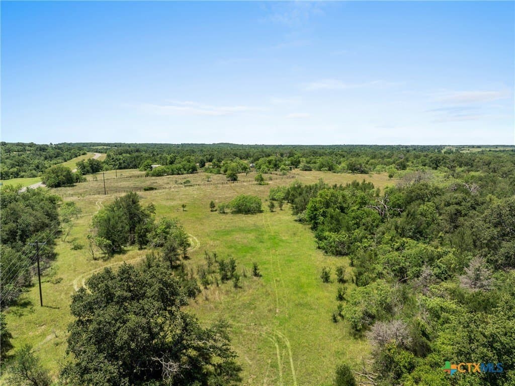 95 acres in Milam County - photo 6