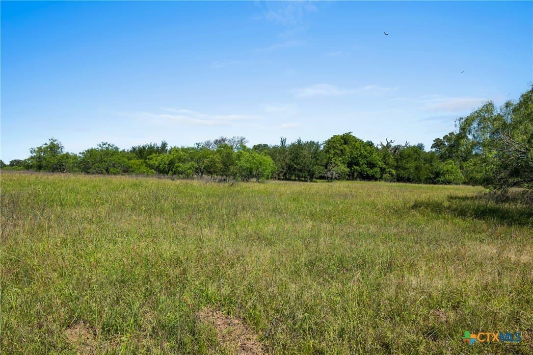95 acres in Milam County - photo 11