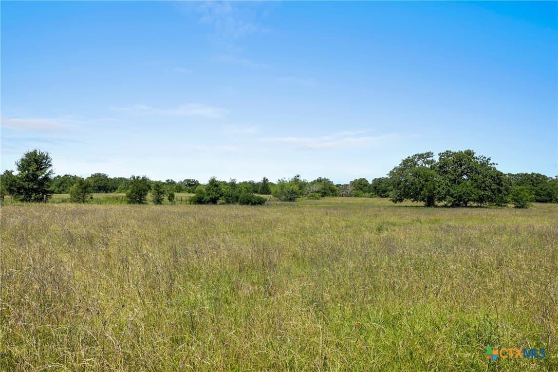 95 acres in Milam County - photo 21