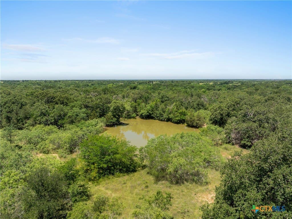 95 acres in Milam County - photo 7