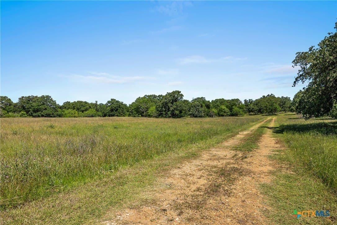 95 acres in Milam County - photo 22